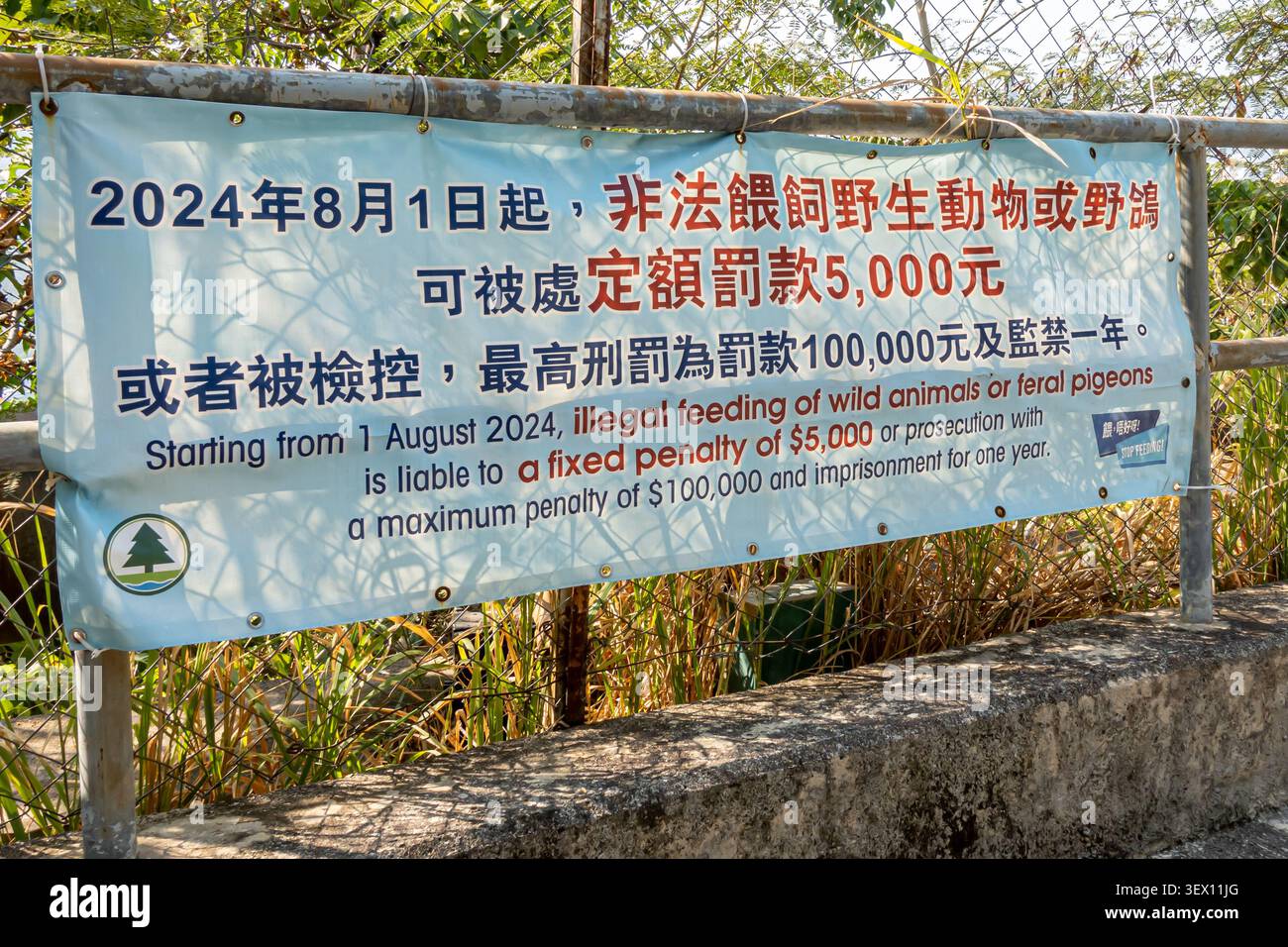 Banner pubblicitario a Hong Kong che annuncia severe sanzioni per l'alimentazione di animali selvatici o piccioni selvatici Foto Stock