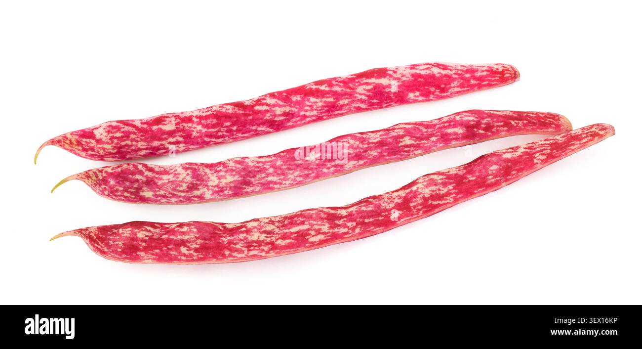 Baccelli di fagioli borlotti freschi con distintiva colorazione rossa e bianca, isolati su sfondo bianco. Legume naturale, prodotto agricolo, cibo sano Foto Stock