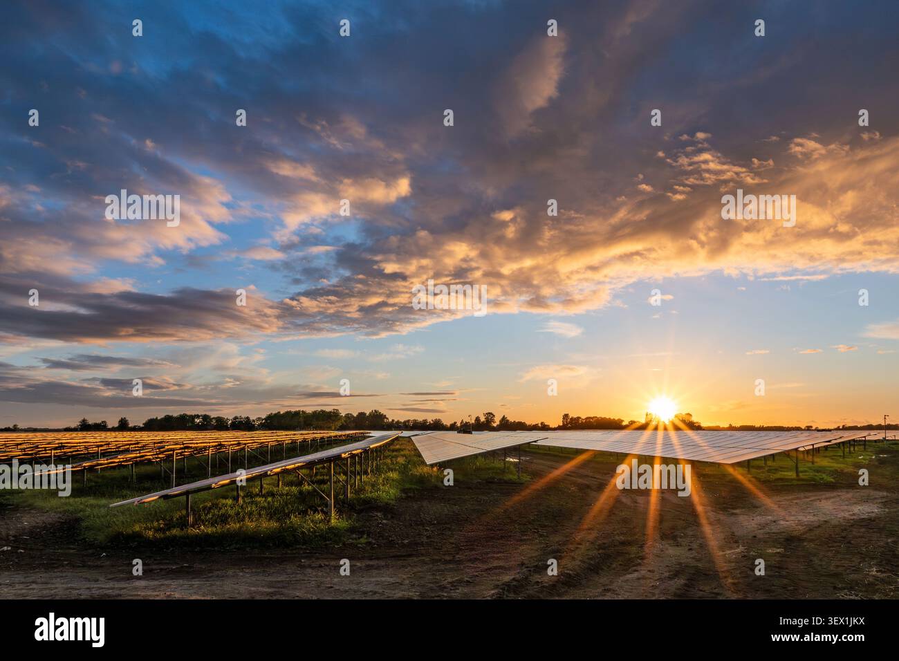 Montato a terra centrale fotovoltaica Foto Stock
