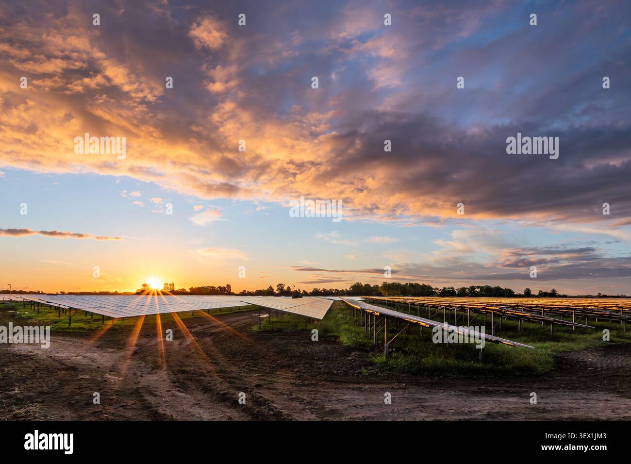 Montato a terra centrale fotovoltaica Foto Stock