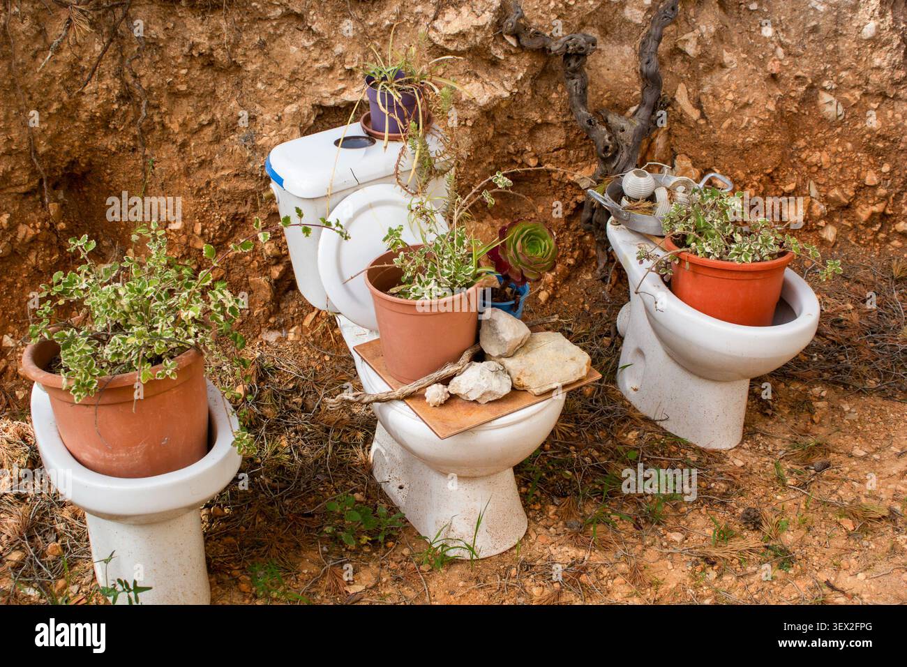 Installazione stravagante di un giardino all'aperto con vaschette di WC riciclate e riutilizzate in modo creativo come fioriere di fiori. Un esempio insolito di upcycling, susta Foto Stock