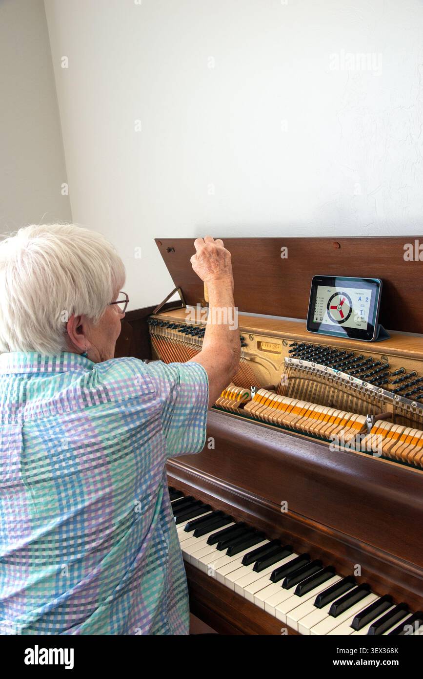 Uno sguardo ravvicinato all'interno di un pianoforte. Foto Stock