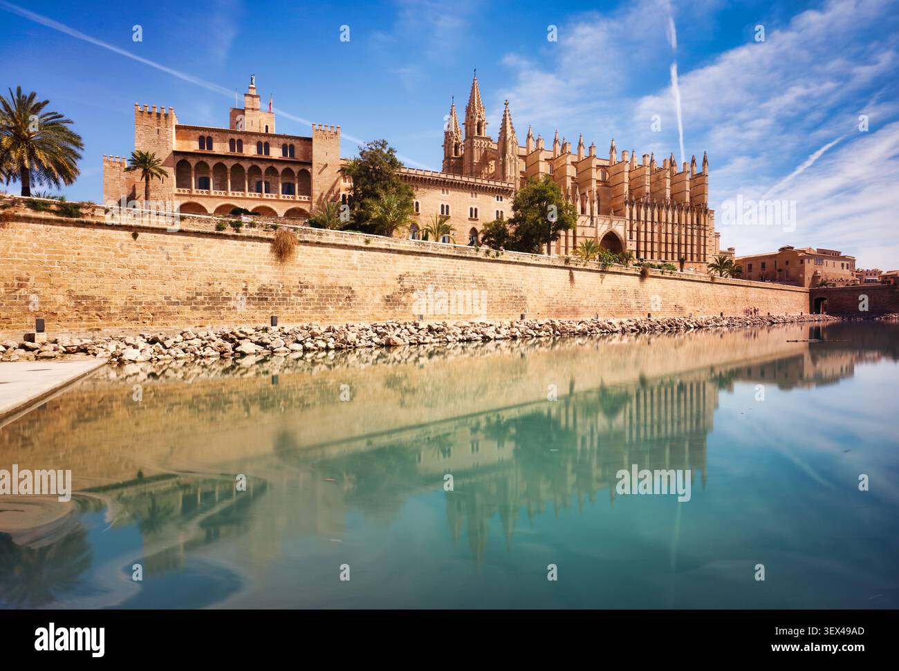 Cattedrale di Maiorca e parco con palme. Parc de la Mar a Palma di Maiorca - panorama Foto Stock