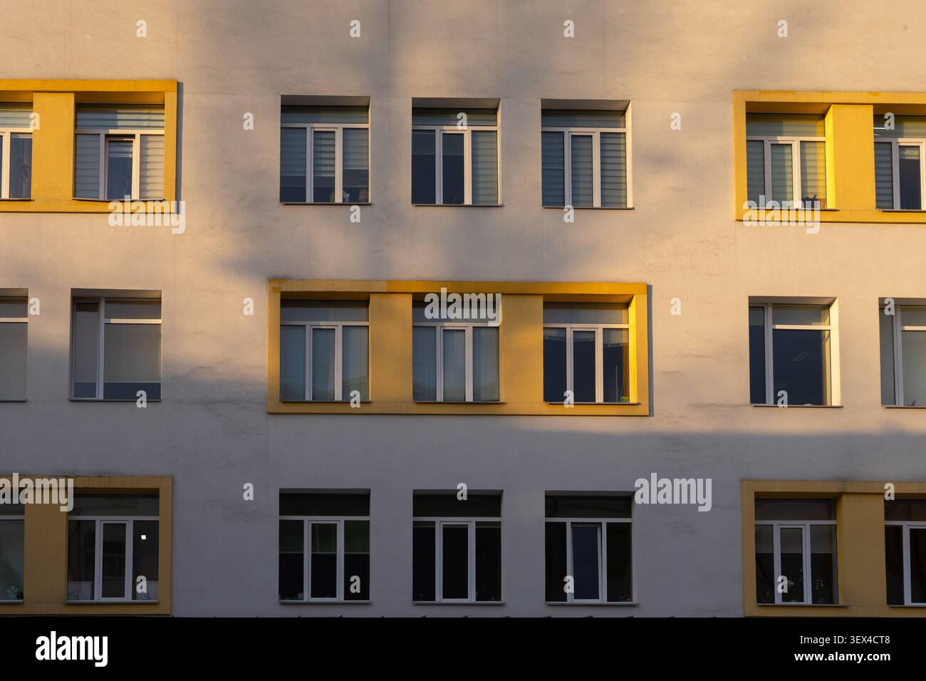 Esterno geometrico dell'edificio con finestre ritmiche e calda luce del sole dorata che getta ombre di alberi morbide su una parete bianca pulita per l'architetto Foto Stock