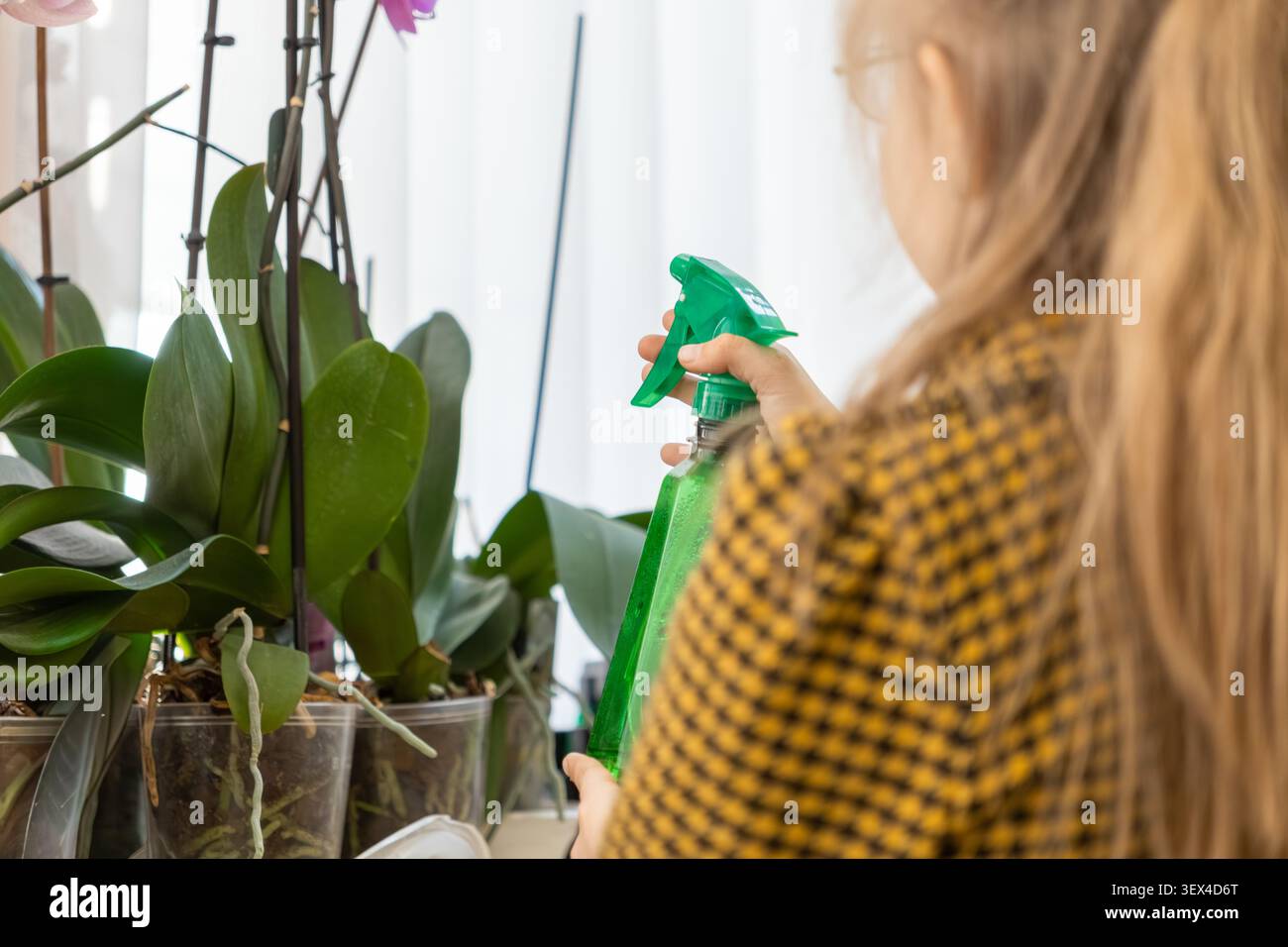Un bambino usa una bomboletta spray per nebulizzare piante verdi da interno vicino a una finestra luminosa, riflettendo la gioia del giardinaggio, dell'apprezzamento della natura e dello sviluppo di res Foto Stock