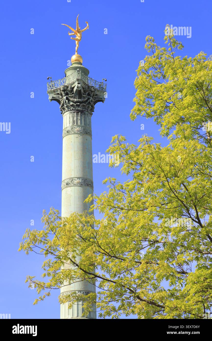 Francia, Parigi, Place de la Bastille, colonna di luglio (1840) per commemorare i tre giorni della Rivoluzione di luglio del 1830, noti come i tre giorni gloriosi Foto Stock