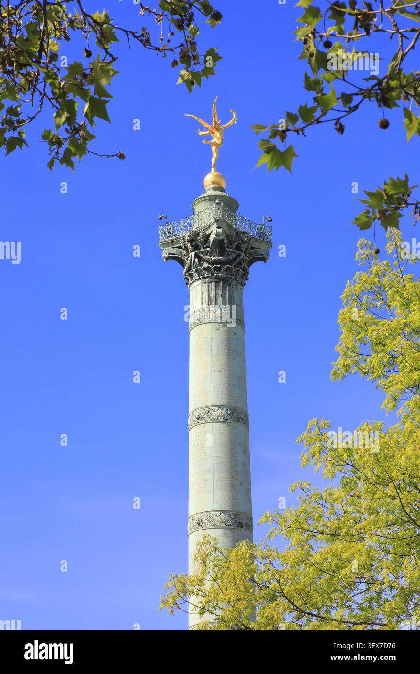 Francia, Parigi, Place de la Bastille, colonna di luglio (1840) per commemorare i tre giorni della Rivoluzione di luglio del 1830, noti come i tre giorni gloriosi Foto Stock