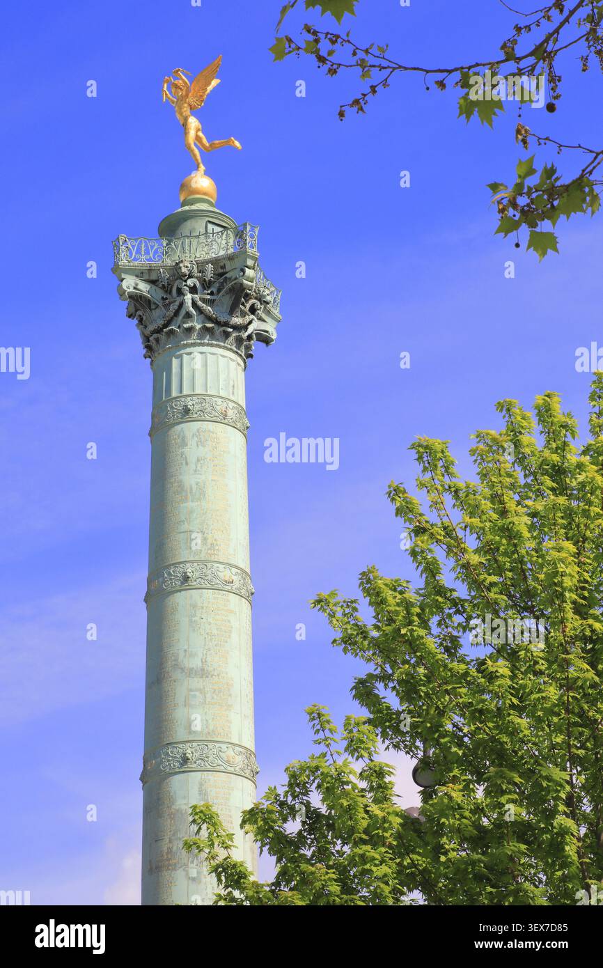 Francia, Parigi, Place de la Bastille, colonna di luglio (1840) per commemorare i tre giorni della Rivoluzione di luglio del 1830, noti come i tre giorni gloriosi Foto Stock