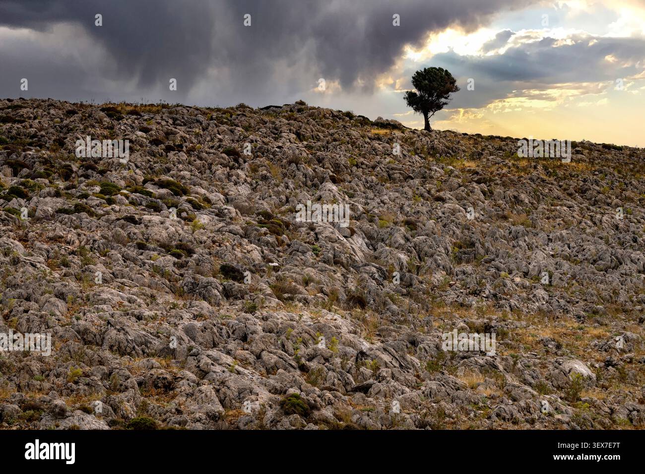 Grecia, Isole del Dodecaneso, Isola di Kalymnos Foto Stock