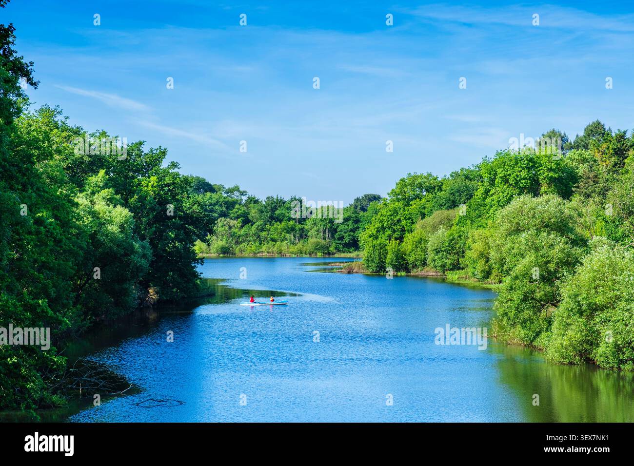 Francia, Loira Atlantica, Joué-sur-Erdre, lago di Vioreau lungo la pista ciclabile la Régalante Foto Stock