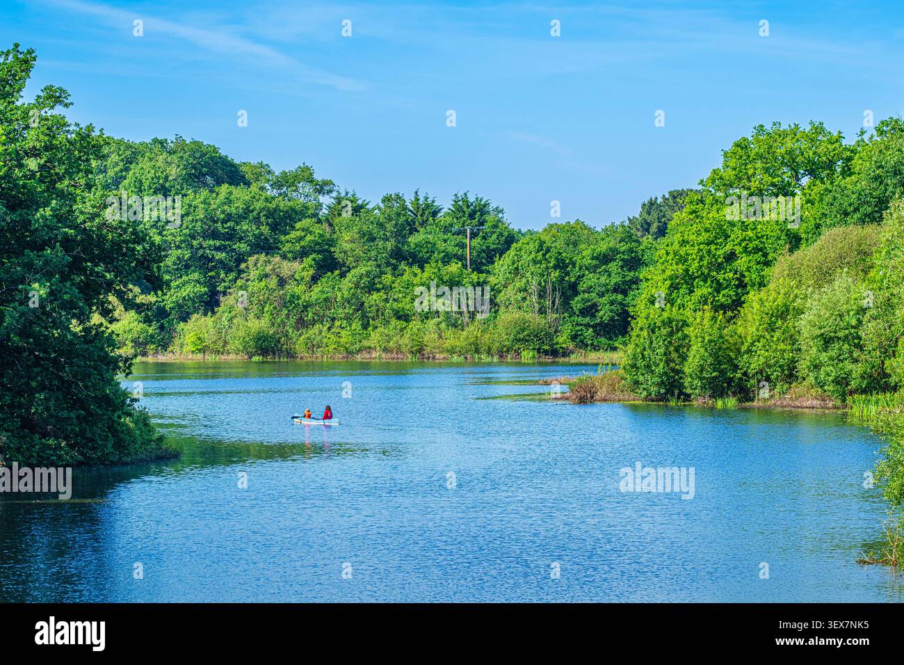 Francia, Loira Atlantica, Joué-sur-Erdre, lago di Vioreau lungo la pista ciclabile la Régalante Foto Stock