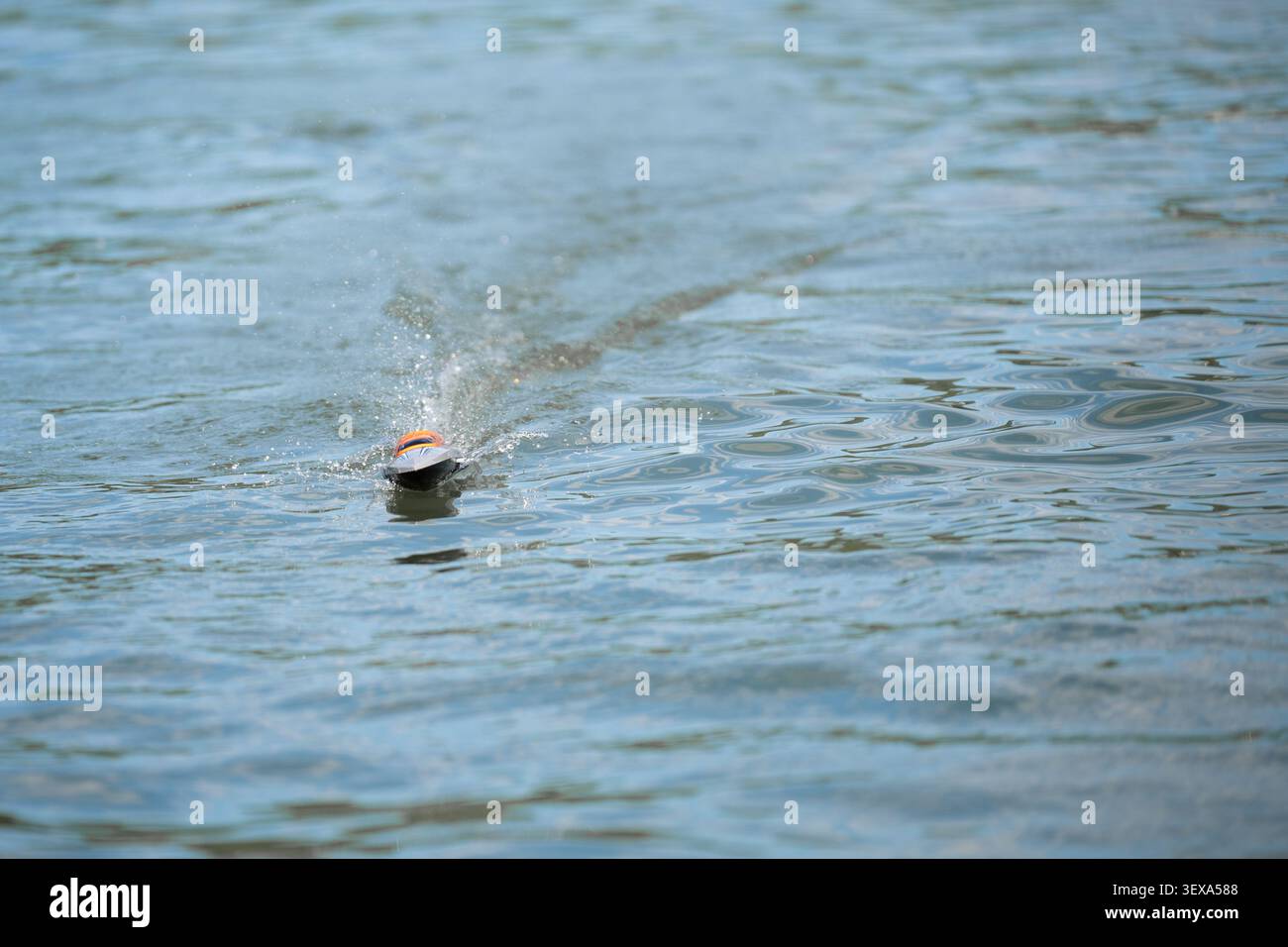 Primo piano di una gara di motoscafi telecomandati su una superficie di un lago che crea spettacolari spruzzi d'acqua. Foto Stock