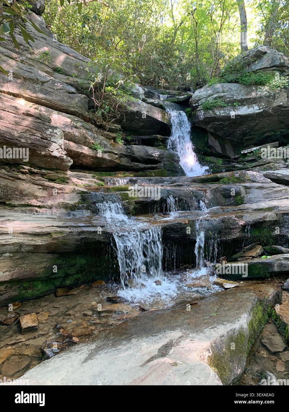 Una tranquilla cascata tra alberi verdi nelle montagne affumicate del North Carolina. - Immagine stock catturata con smartphone