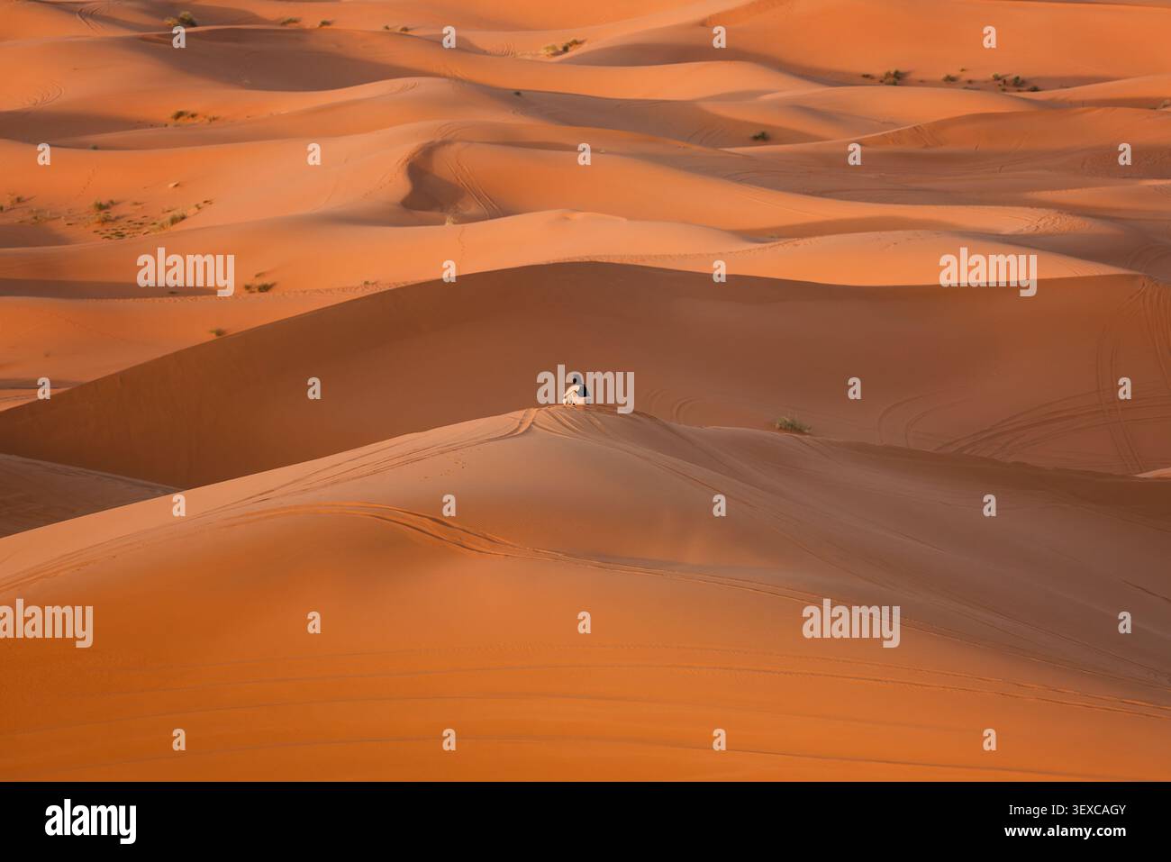 Persona seduta sulla cima di una duna di sabbia nel deserto del Sahara, Marocco. Ksebt an-Namous, Drâa-Tafilalet, Marocco Foto Stock