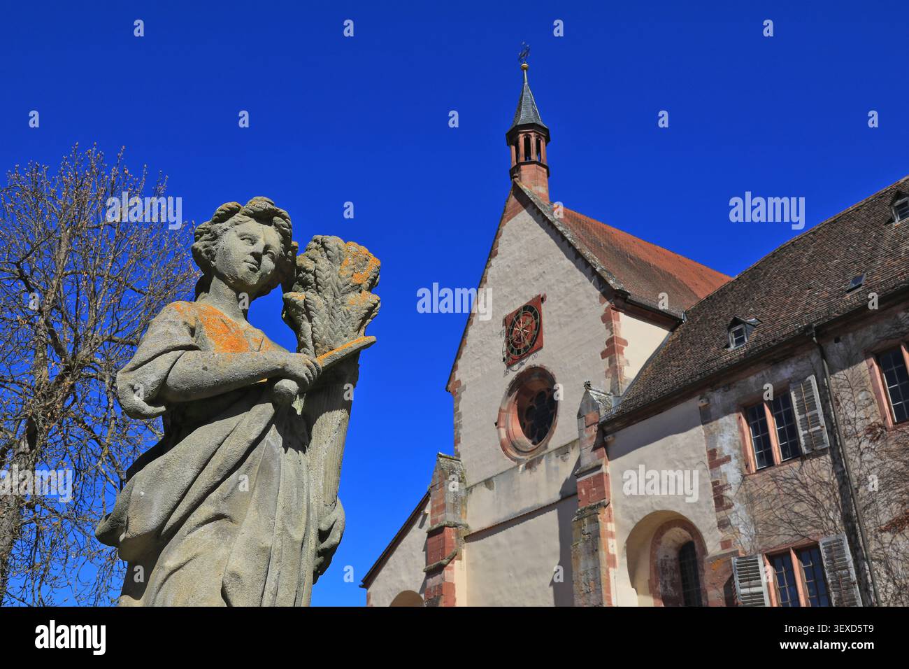 Monastero di Bronnbach, Monasterium Brunnbacensis, in seguito anche Castello di Bronnbach, un'ex abbazia cistercense fondata nel 1151, Tauber Valley, Reicholzheim, M Foto Stock