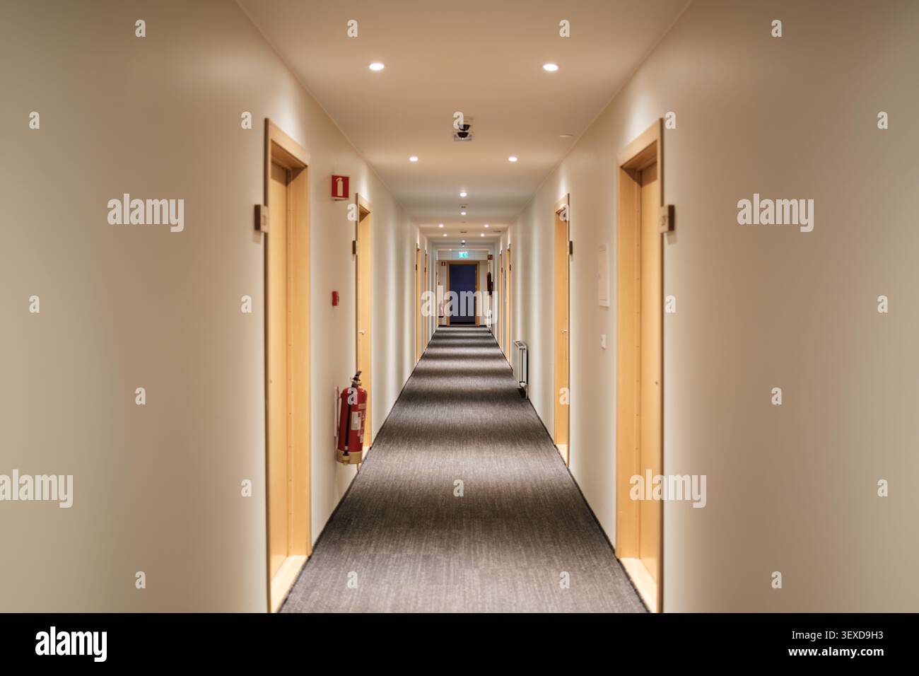 Corridoio interno vuoto in un hotel contemporaneo con pavimento in moquette, porte simmetriche in legno, illuminazione e attrezzature di sicurezza Foto Stock