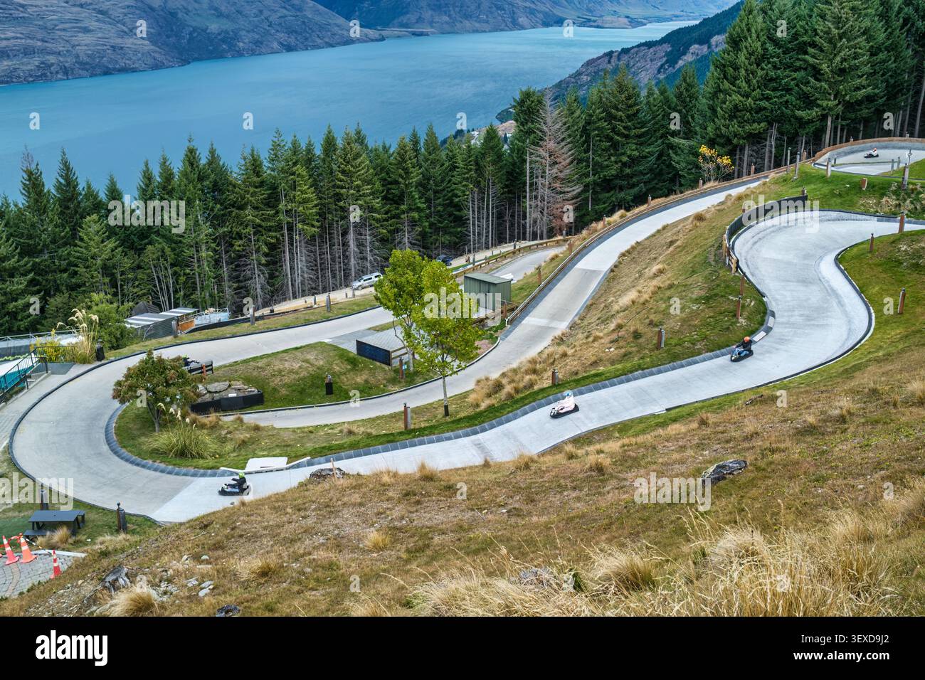Gruppo di turisti che amano e cavalcano lo skyline di queenstown Luge è l'attività più famosa della nuova Zelanda Foto Stock
