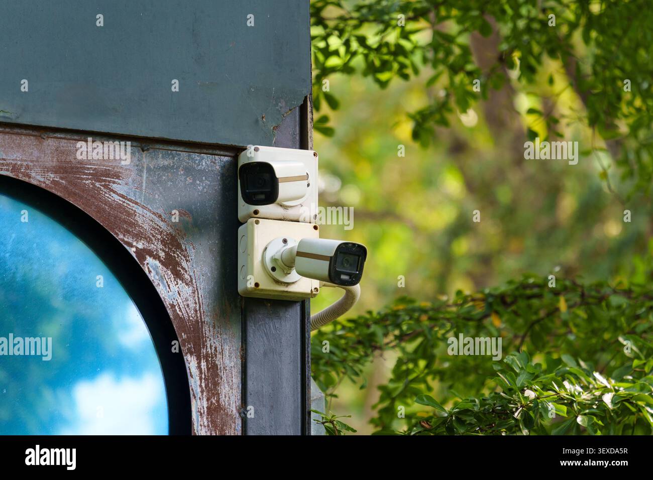 Due telecamere di sorveglianza di sicurezza CCTV esterne montate nell'angolo dell'edificio nel giardino Foto Stock