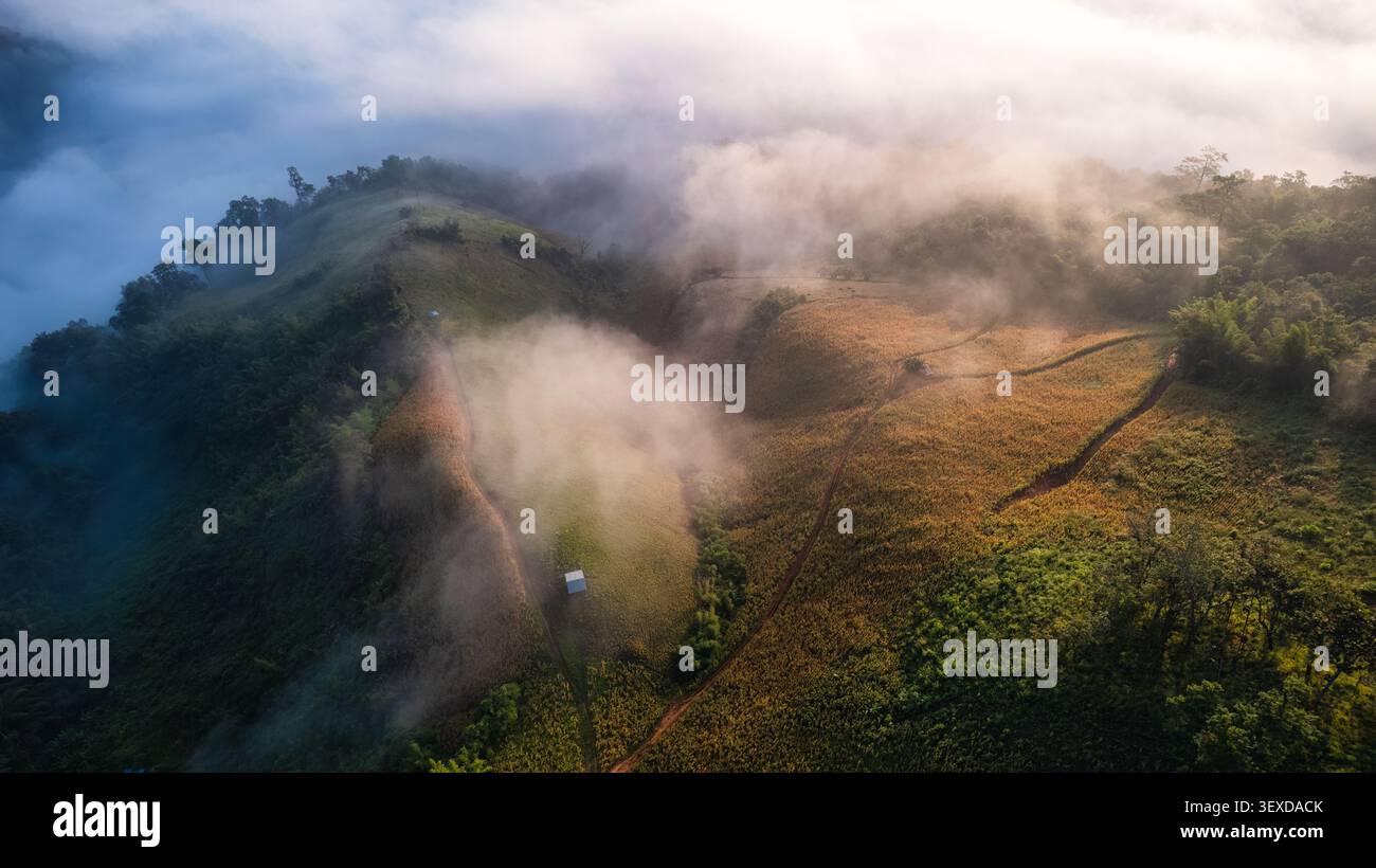 Vista aerea della mattina nebbiosa su un ondulato campo di coltura collinare con lussureggianti pendii verdi della foresta e terreni agricoli aridi nella campagna del sud-est asiatico Foto Stock