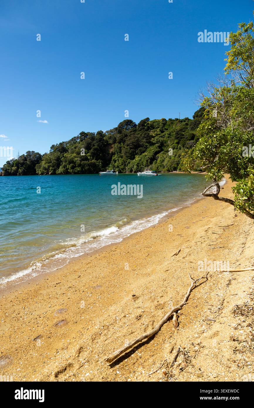 Governors Bay Beach nel Marlborough Sounds, nuova Zelanda, caratterizzata dalla sua spiaggia di ghiaia dorata e dalle acque cristalline Foto Stock