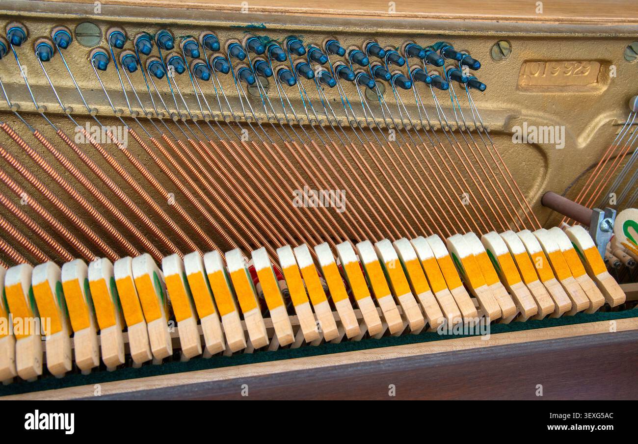 Un primo piano dell'interno di una pancia di piano. Foto Stock