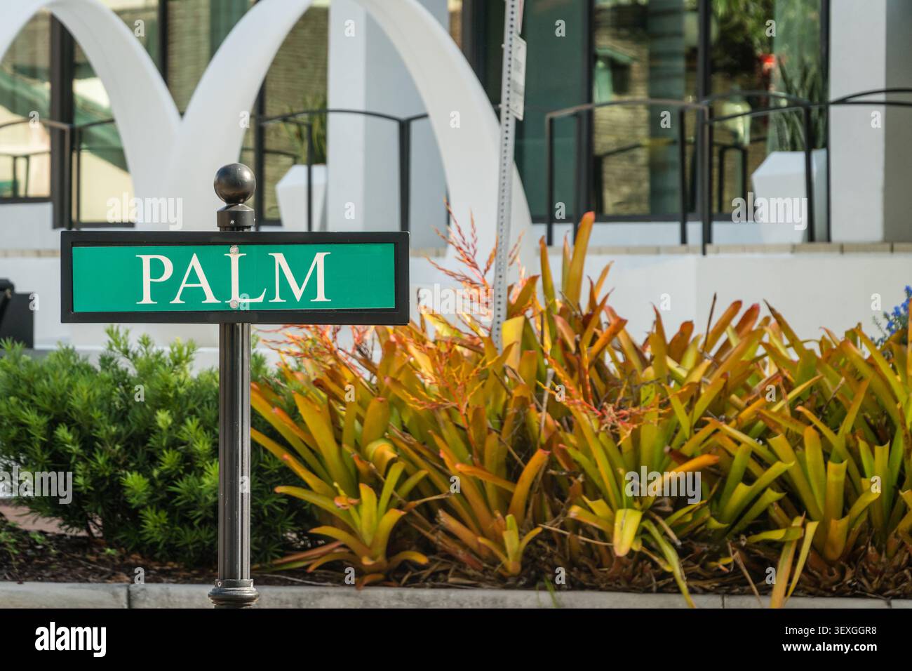 Sarasota, Florida, US-30 maggio 2026: L'iconica insegna Palm Avenue Street nel centro storico. Foto Stock