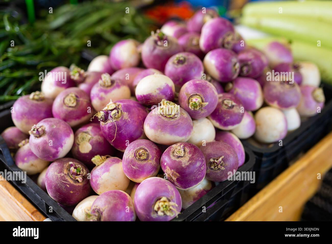 Radici di rapa esposte per la vendita alla greengrocery Foto Stock