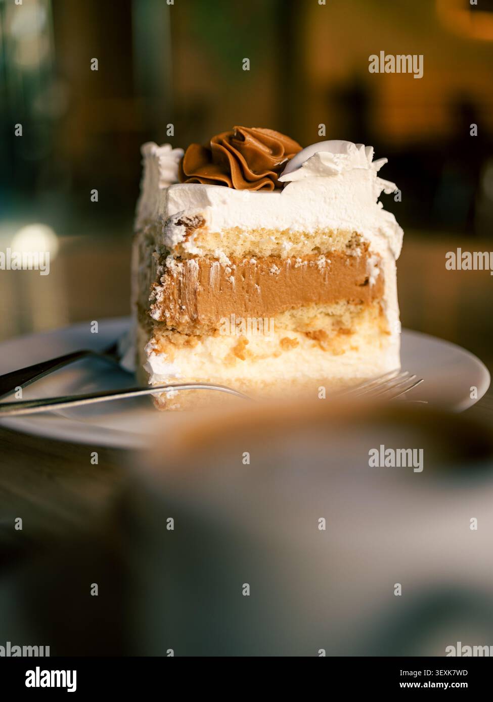 Una fetta di torta a strati si appoggia su un piatto bianco. Il ricco cioccolato a vortice corona la soffice panna montata. Strati visibili di crema, cioccolato e spugna. Messa a fuoco morbida Foto Stock