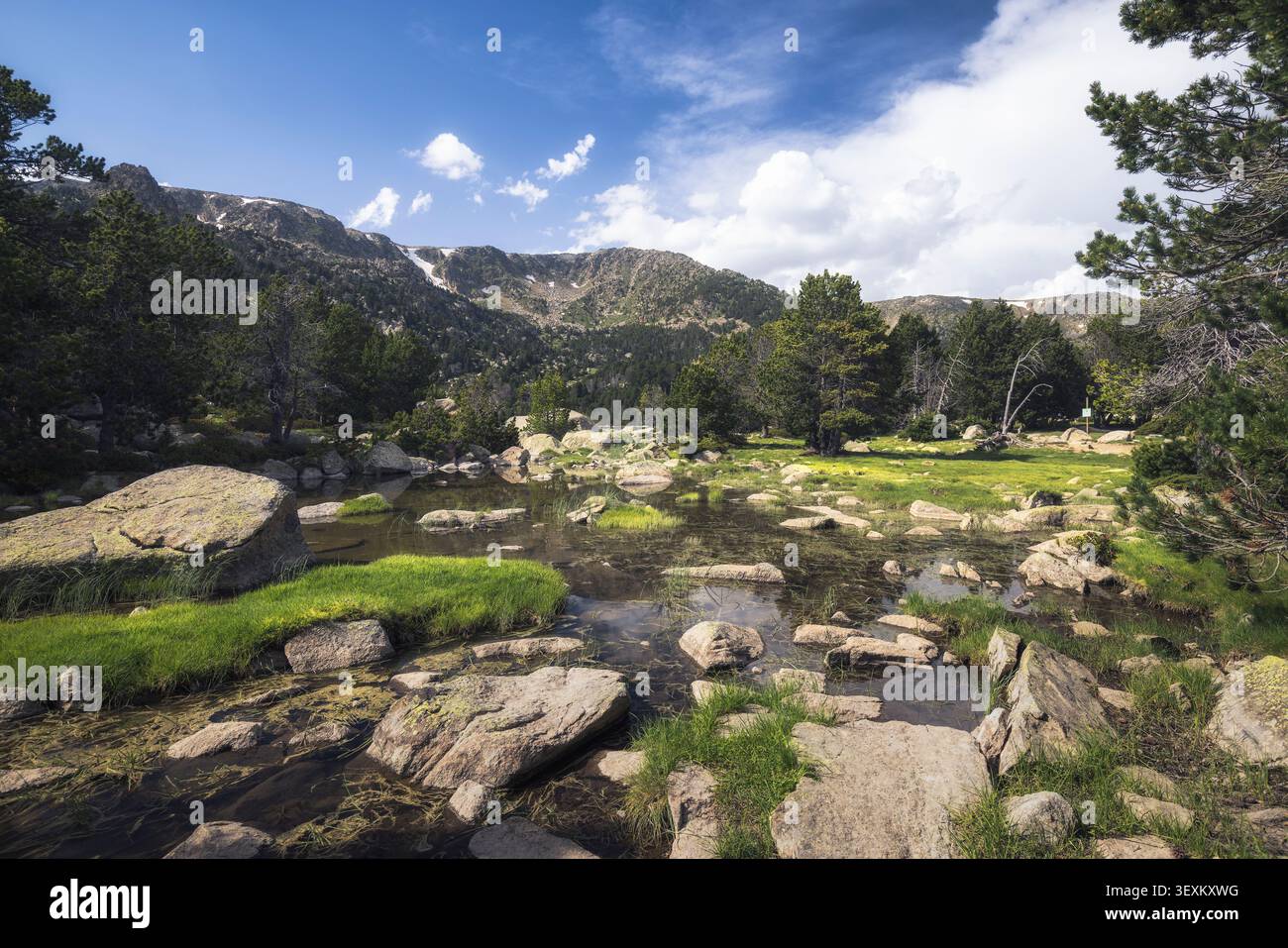 Le calme acque del lago Malniu rispecchiano il cielo, con pietre e vegetazione che invitano a esplorare la tranquilla Catalogna. Foto Stock