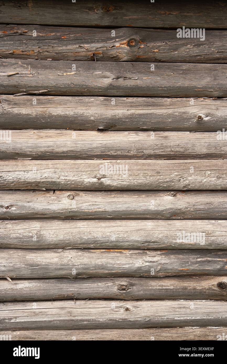 File di vecchi tronchi di legno grigio-marrone formano una parete orizzontale continua della cabina in legno, che mostra una superficie ruvida, crepe e variazioni di colore naturali Foto Stock