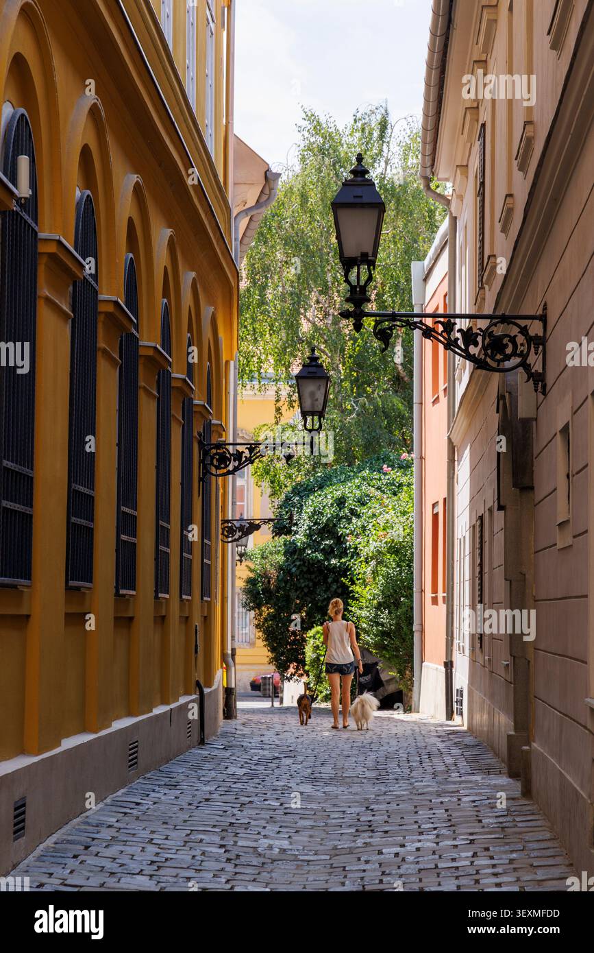 Strada secondaria stretta, quartiere del castello di Buda, Budapest, Ungheria Foto Stock