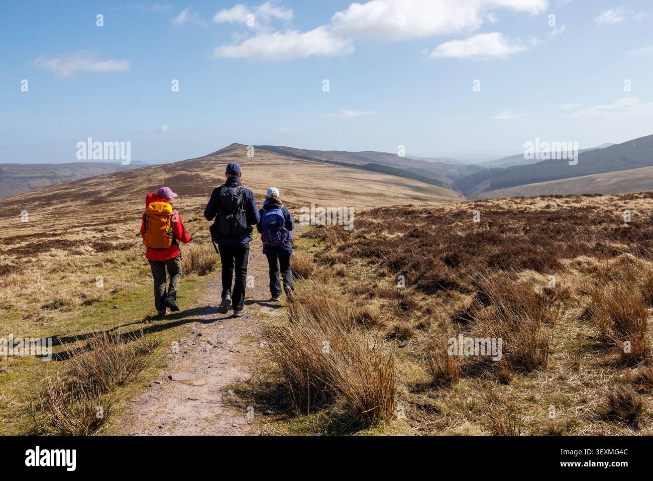 Camminate sul sentiero alla testa della valle Grwyne Fawr, Rhos Dirion, Black Mountains, Galles, Regno Unito Foto Stock