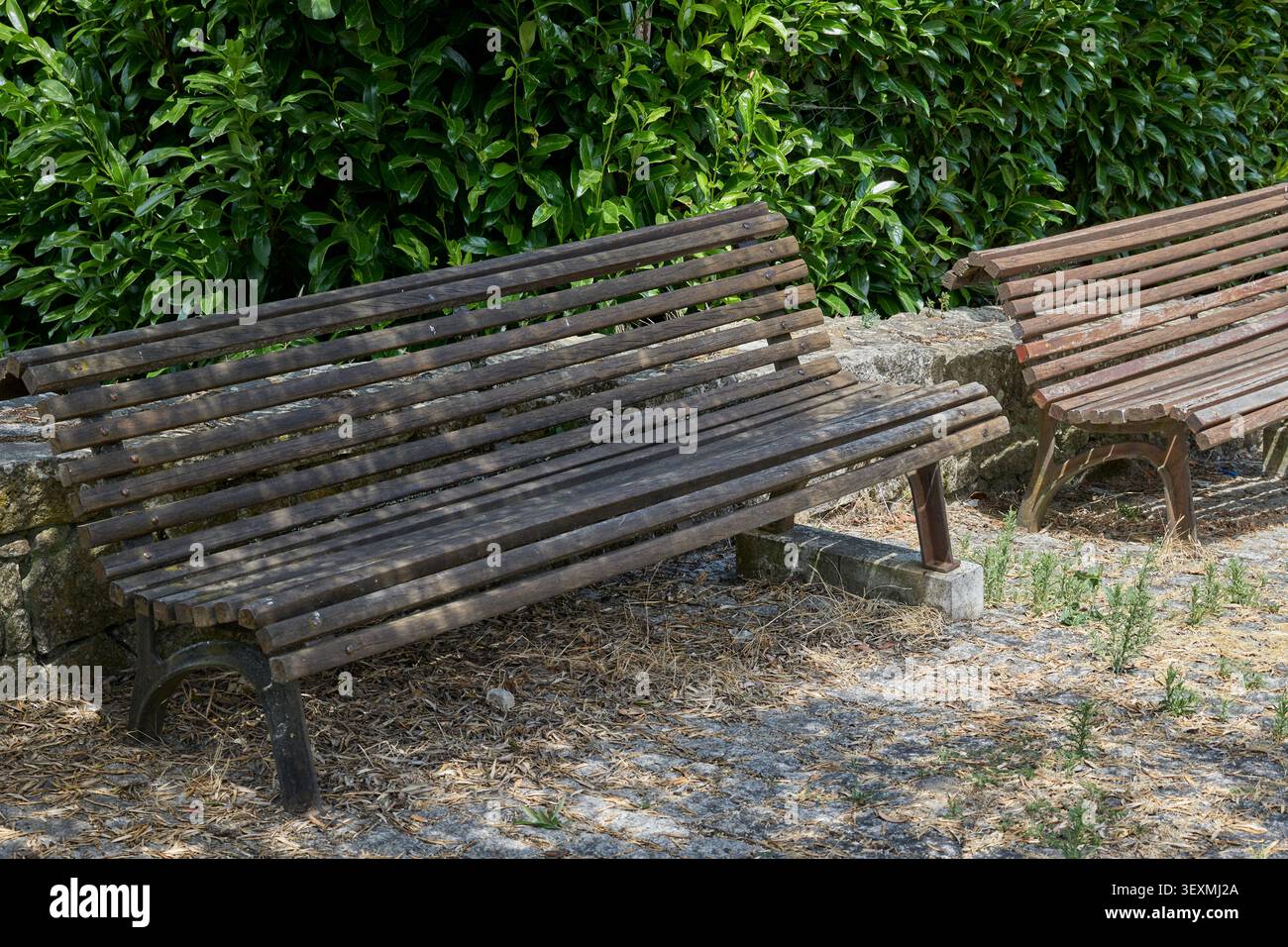 Panchina in legno nel parco con foglie. Foto Stock