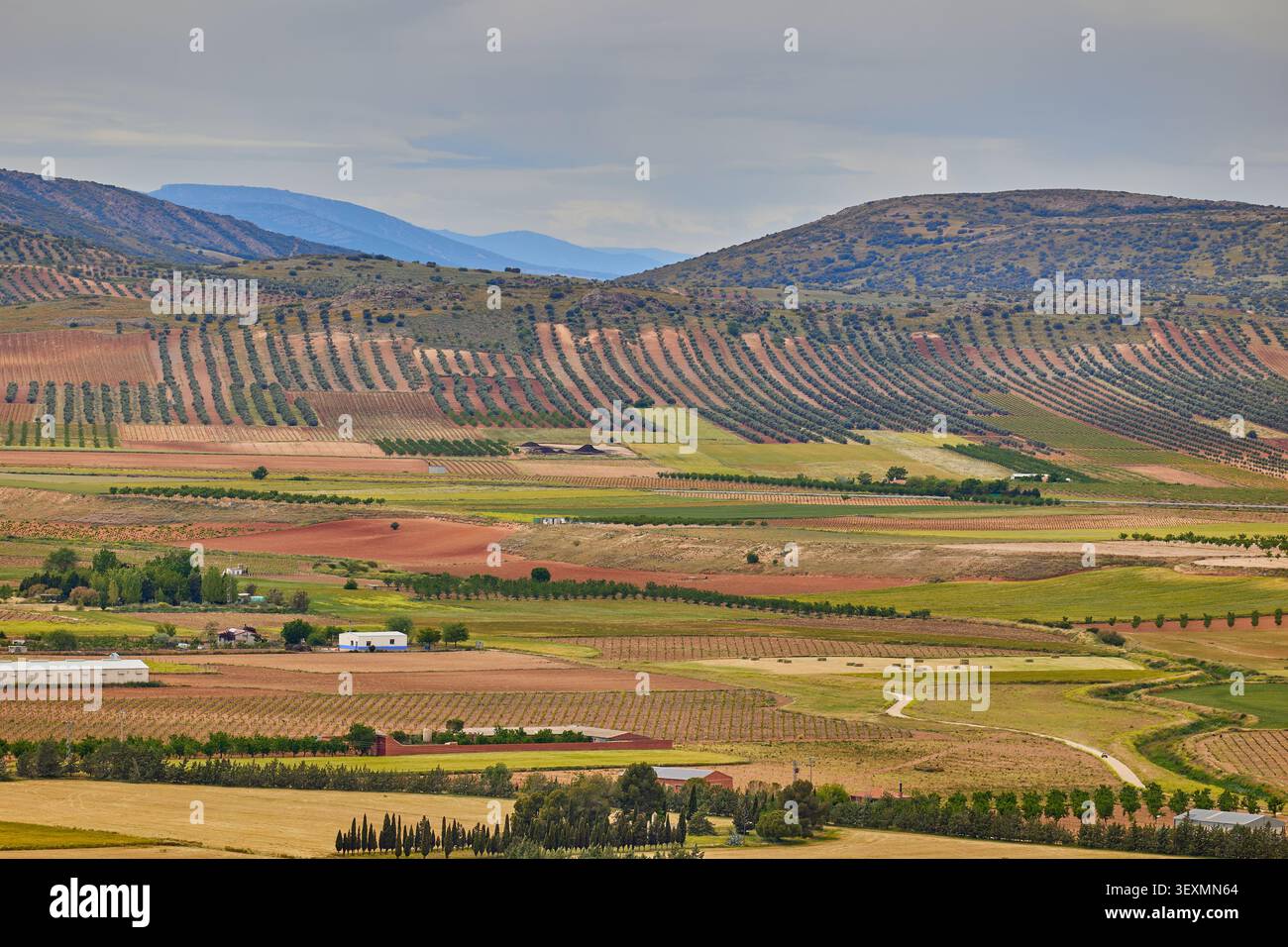 Vista aerea delle aziende agricole e dei campi agricoli. Consuegra, Toledo, Spagna. Foto Stock