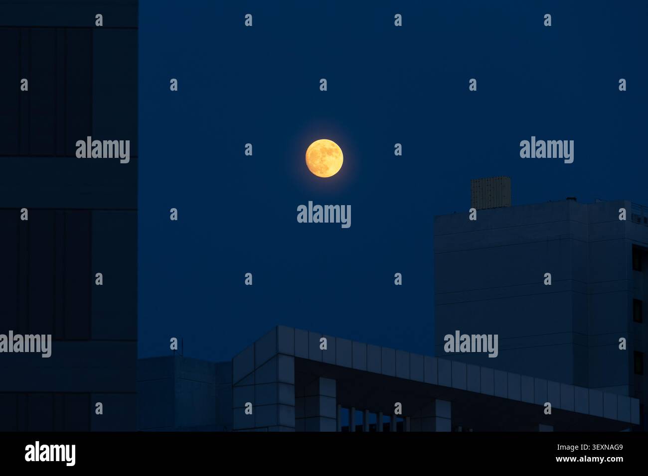 Luna piena dorata e ampio cielo notturno blu sopra lo skyline della città Foto Stock