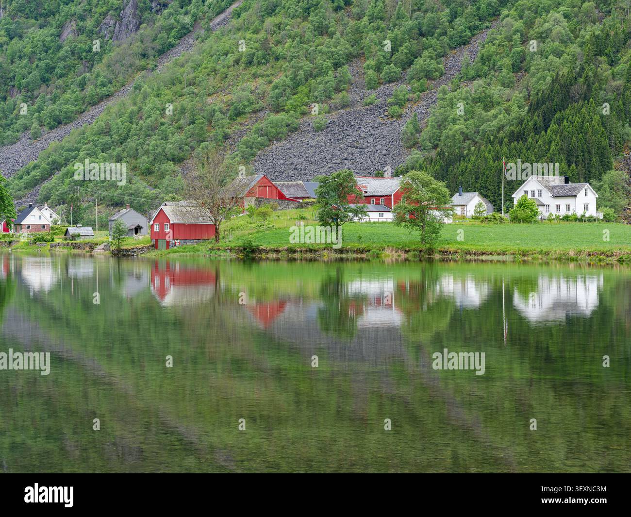 Una tranquilla mattinata d'estate con vista su Sandvin, una fattoria storica vicino a Odda, nella contea di Vestland, Norvegia. Gli edifici tradizionali sono splendidamente ristrutturati Foto Stock