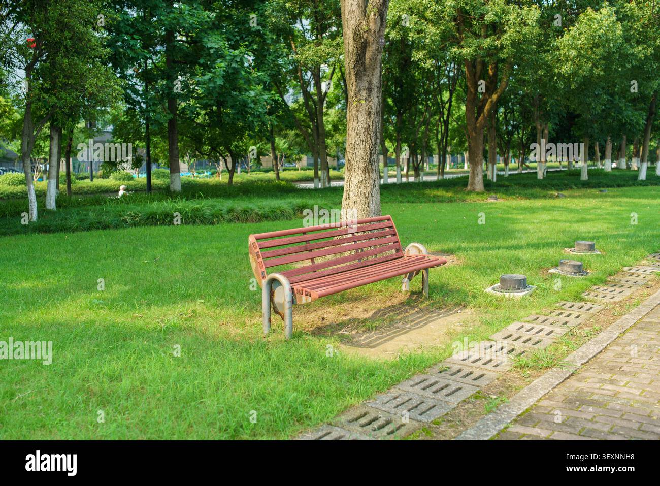 Una panchina di legno rossa su un prato verde lussureggiante in un parco pubblico circondato da alberi verdi vibranti in una soleggiata giornata estiva. Foto Stock