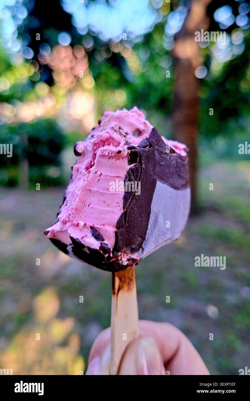 Gelato rosa nel cioccolato fondente nella mano di una donna Foto Stock