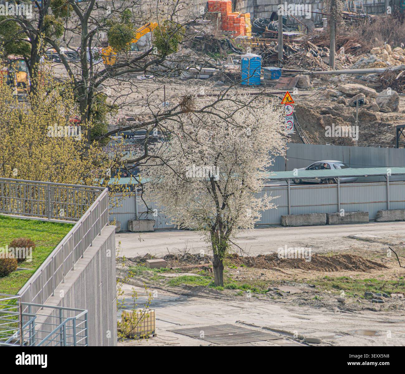 Scena di sviluppo urbano con alberi solitari in fiore, ringhiere in metallo, cantiere, tetto verde, capannone temporaneo, fatica portatile Foto Stock