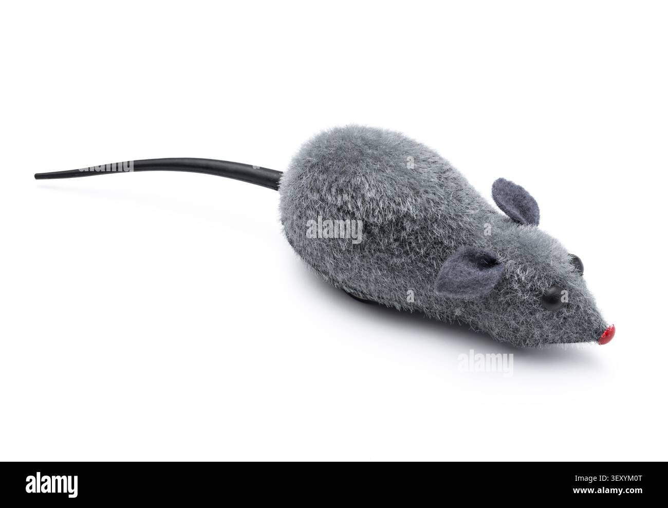 Giocattolo grigio per gatti sfocato con coda nera isolata su sfondo bianco Foto Stock