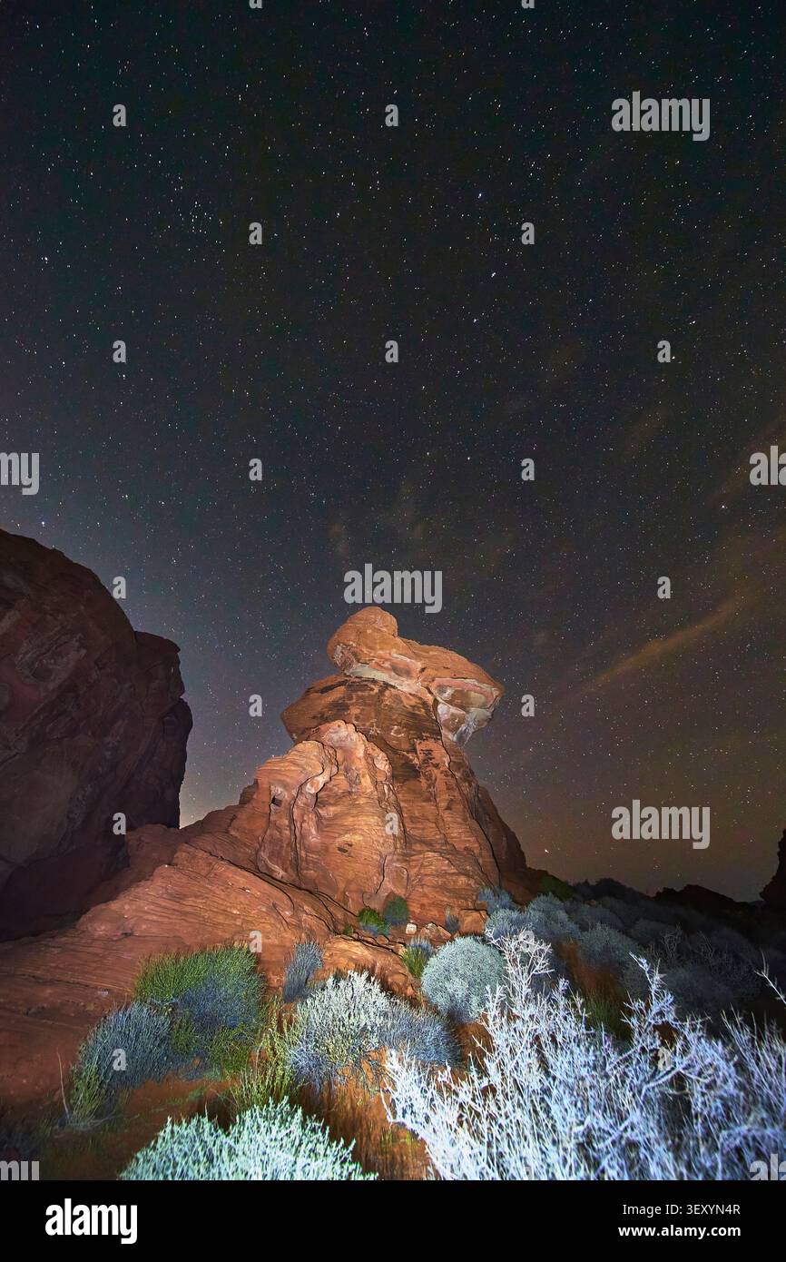 Formazione rocciosa del Cammello sotto il cielo notturno con arbusti del deserto nella Valley of Fire, Nevada Foto Stock