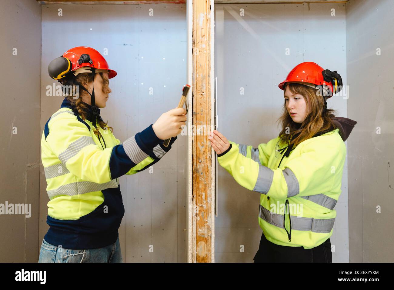 Due studentesse professionali che lavorano insieme durante la misurazione del pannello a cartongesso con righello sui lati opposti all'interno di traini Foto Stock