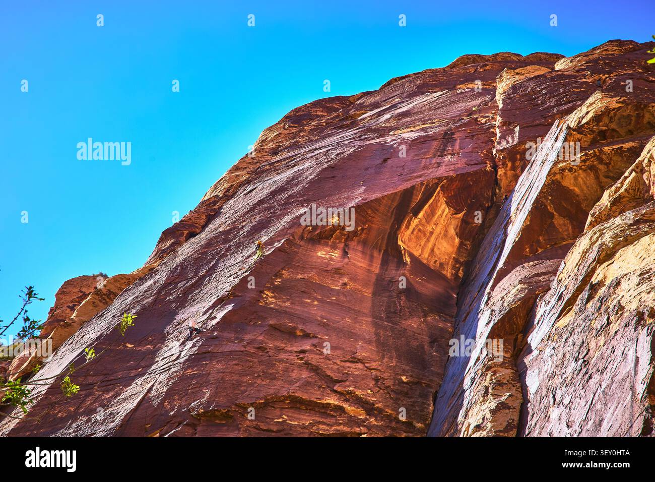 Arrampicatore che sale su una parete di arenaria rossa illuminata dal sole a Pine Creek, Nevada Foto Stock