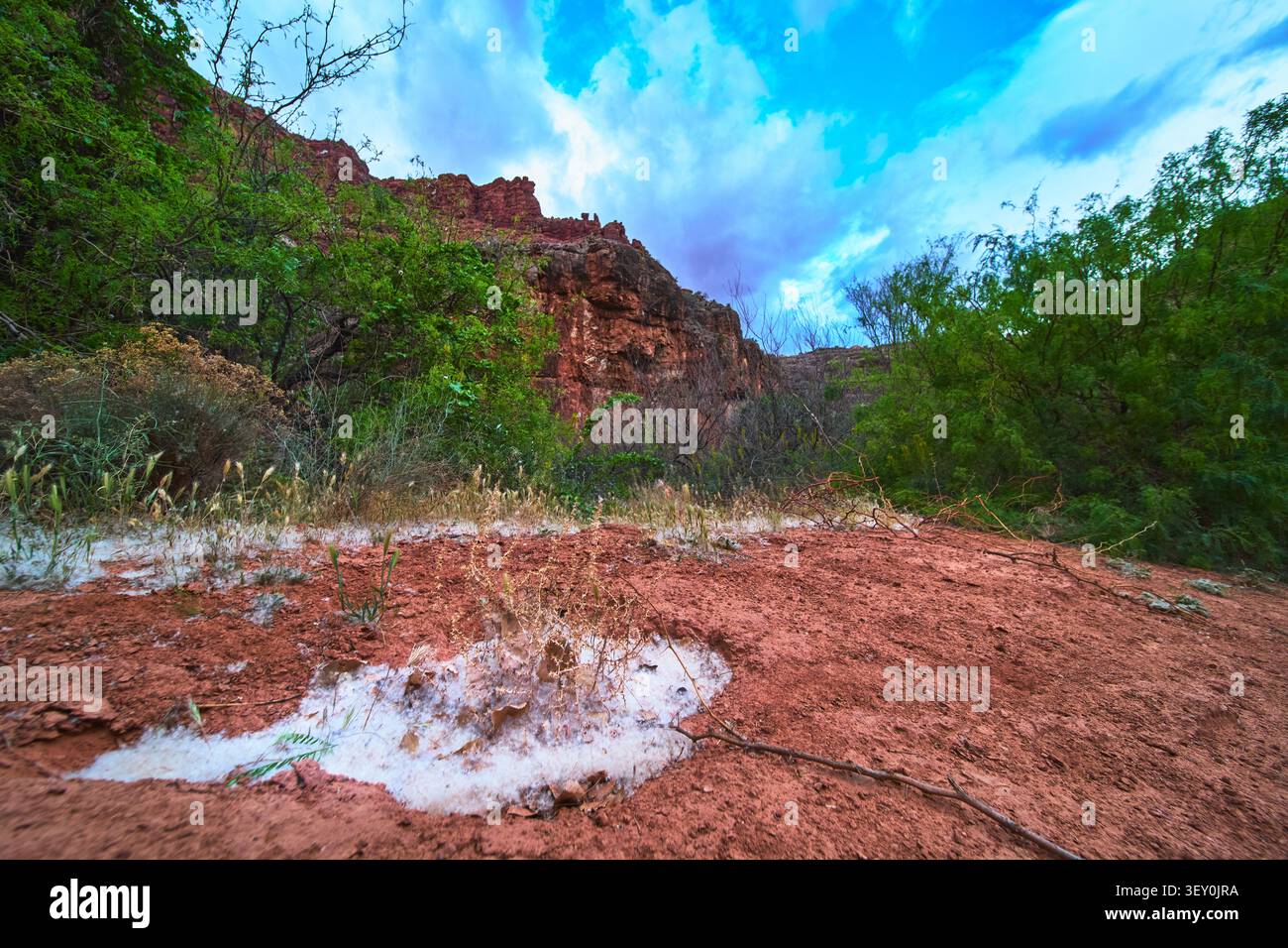 Terra rossa e vegetazione verde sotto le drammatiche pareti del canyon nella natura selvaggia dell'Arizona Foto Stock