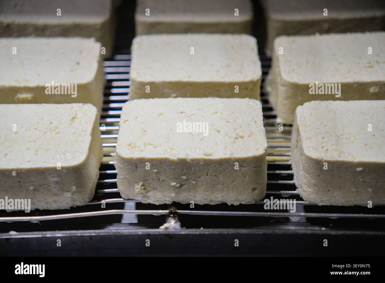Blocchi di formaggio tofu fresco su una linea di nastri trasportatori in metallo in uno stabilimento di produzione alimentare Foto Stock