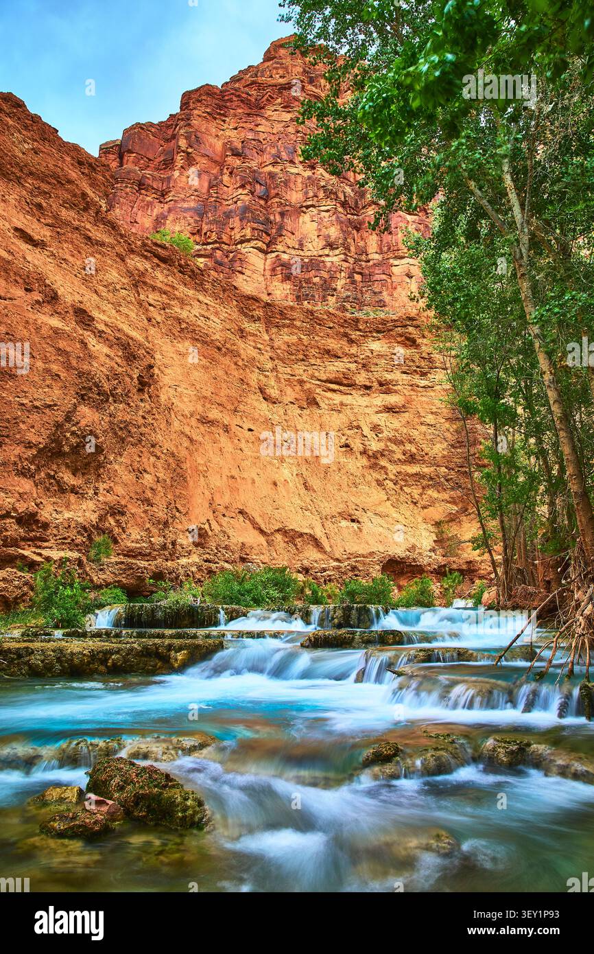 Le cascate di Havasupai scorrono sulla roccia terrazzata con pareti del Red Canyon e alberi lussureggianti Foto Stock