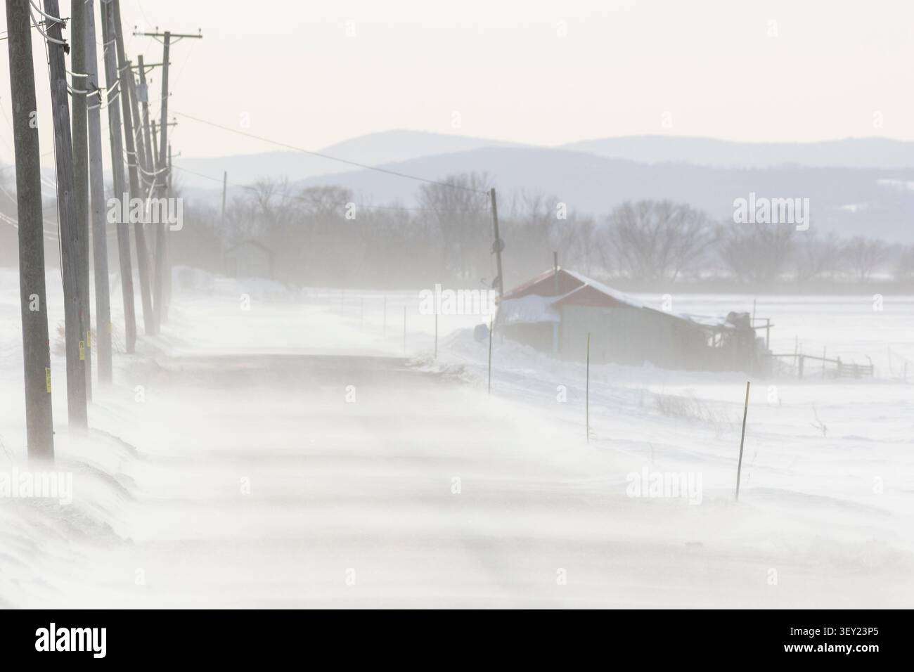 I venti di Strongs soffiano la neve dai campi agricoli di fronte a una strada in inverno. Foto Stock