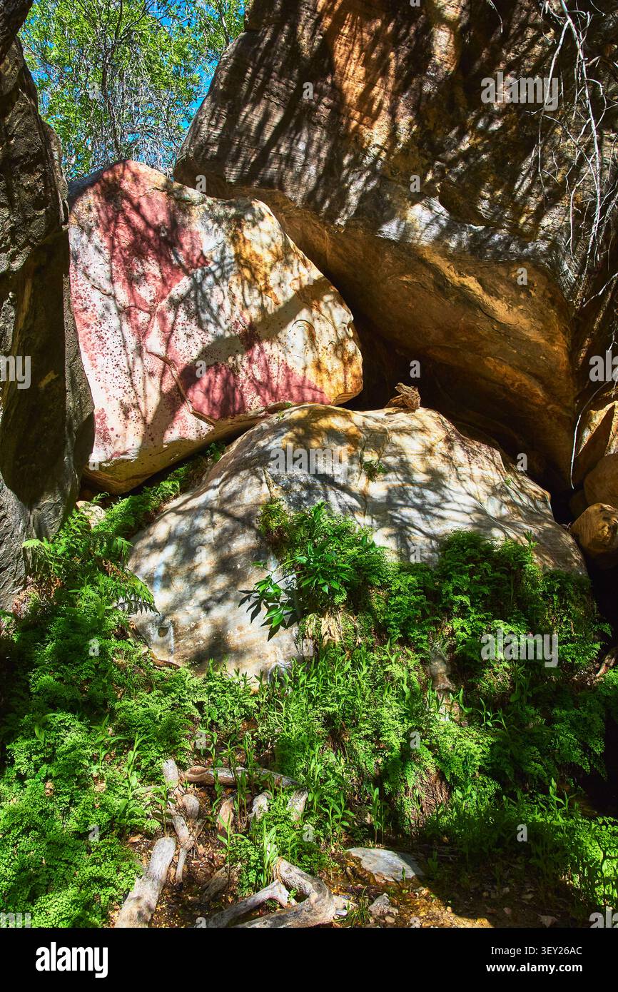 Massi di arenaria illuminati dal sole e felci lussureggianti con ombre degli alberi nel Canyon Foto Stock