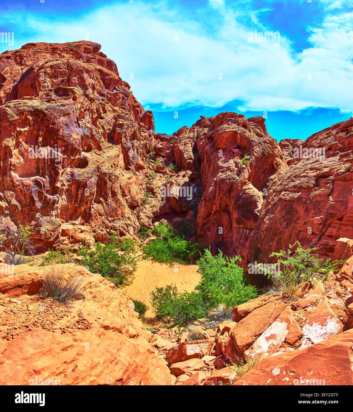 Red Sandstone Cliffs Desert vegetation and Sandy Wash Panoramic Landscape Foto Stock