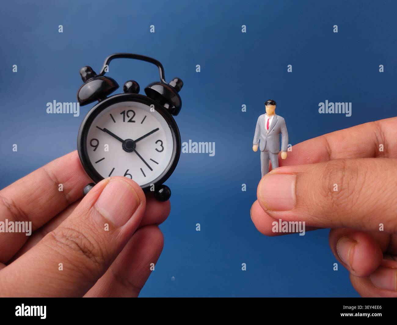 Due lancette tengono una piccola sveglia nera faccia a faccia con una statuetta da ufficio in miniatura su sfondo blu. Foto Stock